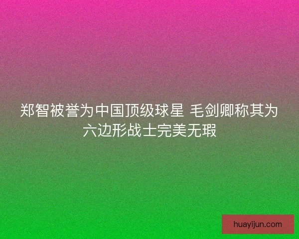 郑智被誉为中国顶级球星 毛剑卿称其为六边形战士完美无瑕